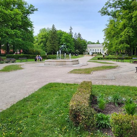 Villa Klara Cieplice Jelenia Góra Esterno foto